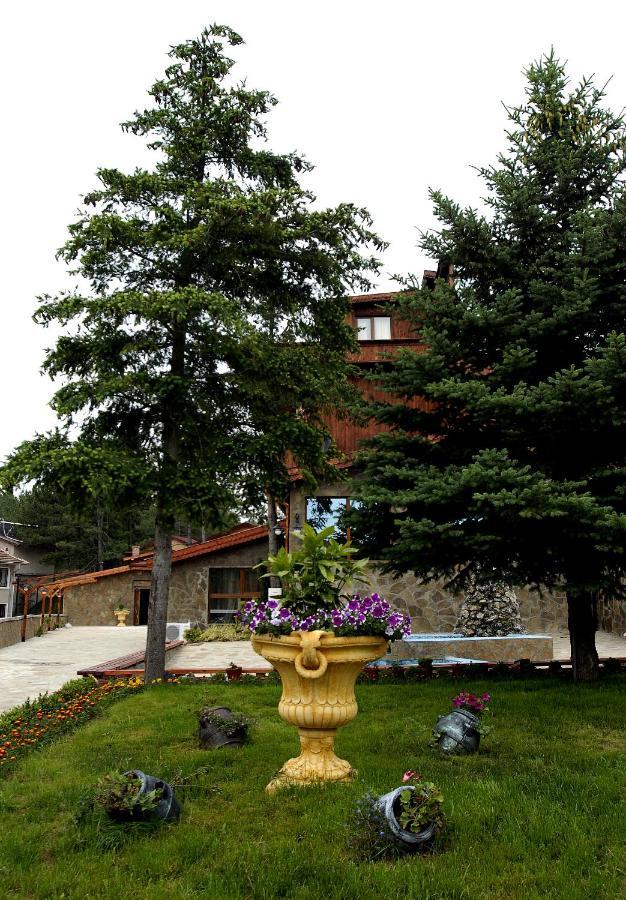 Хотел Галина Палас Srem Экстерьер фото